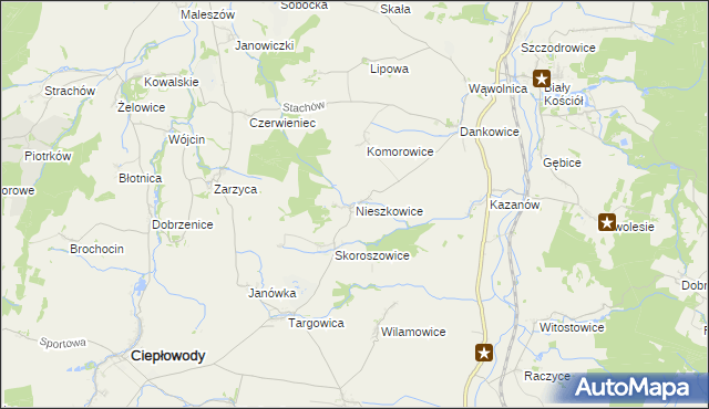 mapa Nieszkowice gmina Strzelin, Nieszkowice gmina Strzelin na mapie Targeo