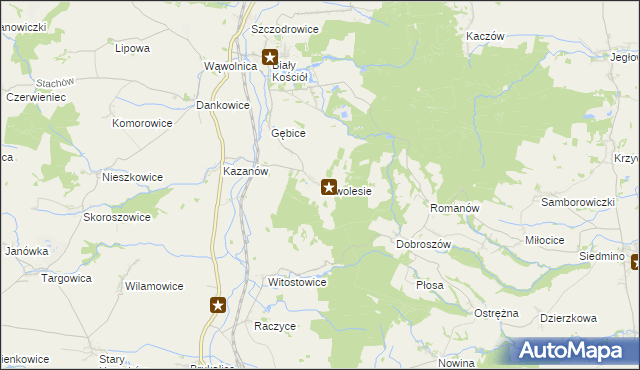 mapa Nowolesie, Nowolesie na mapie Targeo