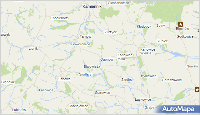 mapa Ogonów gmina Kamiennik, Ogonów gmina Kamiennik na mapie Targeo