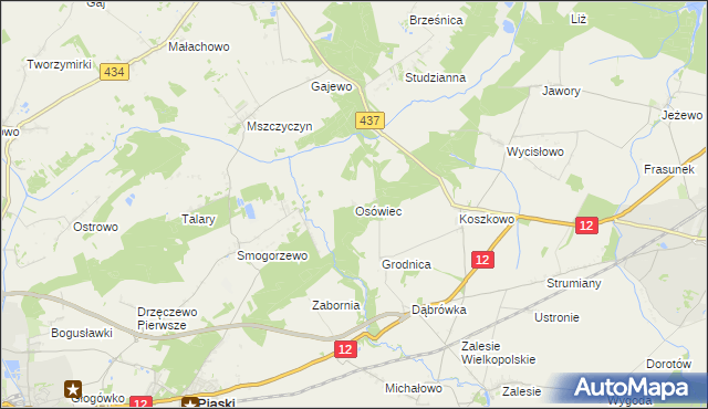 mapa Osówiec gmina Borek Wielkopolski, Osówiec gmina Borek Wielkopolski na mapie Targeo