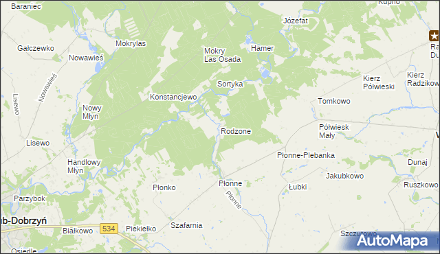mapa Rodzone gmina Radomin, Rodzone gmina Radomin na mapie Targeo