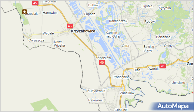 mapa Roszków gmina Krzyżanowice, Roszków gmina Krzyżanowice na mapie Targeo