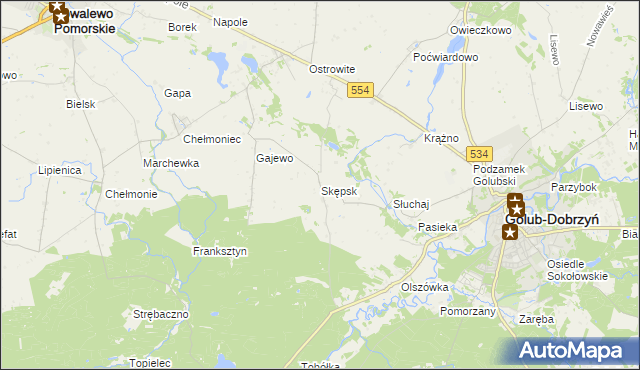 mapa Skępsk, Skępsk na mapie Targeo