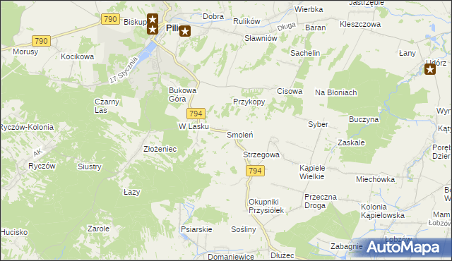 mapa Smoleń gmina Pilica, Smoleń gmina Pilica na mapie Targeo