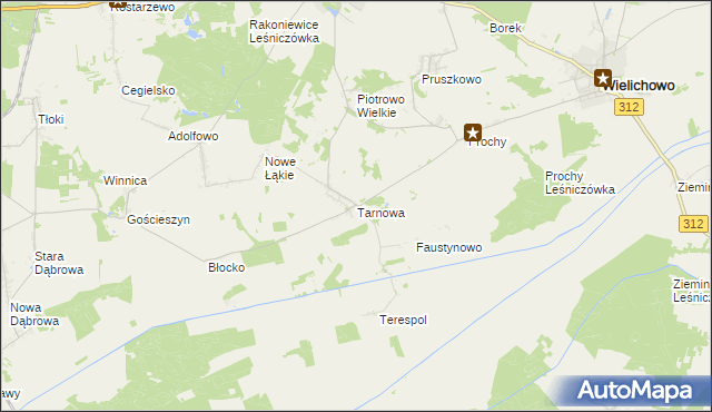 mapa Tarnowa gmina Rakoniewice, Tarnowa gmina Rakoniewice na mapie Targeo