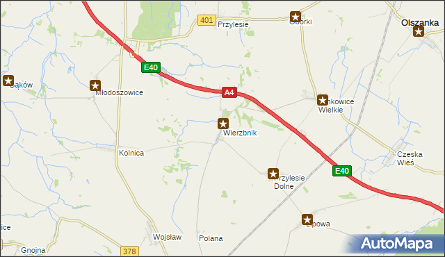 mapa Wierzbnik gmina Grodków, Wierzbnik gmina Grodków na mapie Targeo