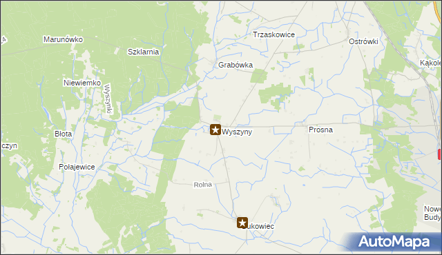 mapa Wyszyny gmina Budzyń, Wyszyny gmina Budzyń na mapie Targeo