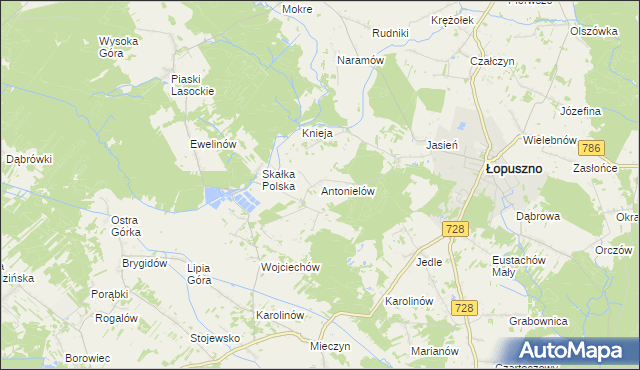 mapa Antonielów gmina Łopuszno, Antonielów gmina Łopuszno na mapie Targeo