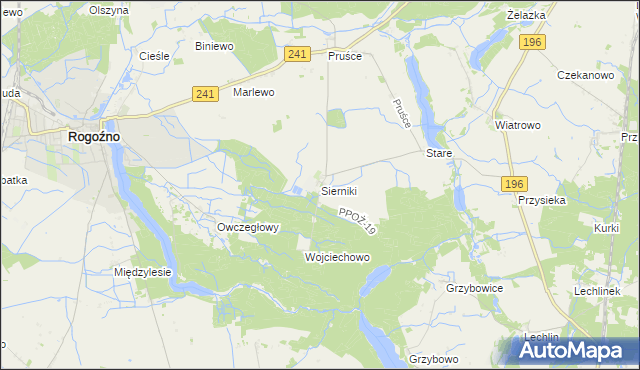 mapa Sierniki gmina Rogoźno, Sierniki gmina Rogoźno na mapie Targeo