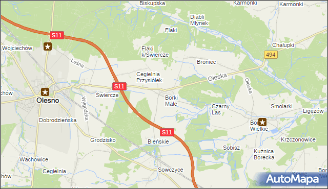 mapa Borki Małe gmina Olesno, Borki Małe gmina Olesno na mapie Targeo