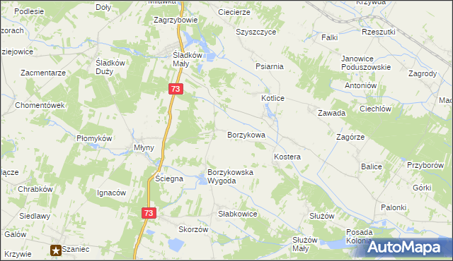 mapa Borzykowa gmina Chmielnik, Borzykowa gmina Chmielnik na mapie Targeo