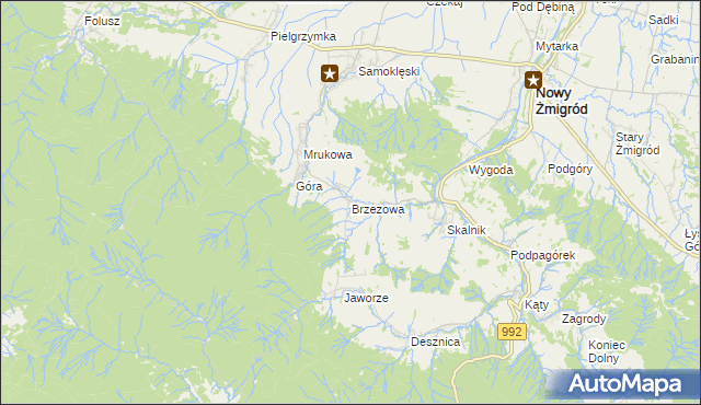 mapa Brzezowa gmina Nowy Żmigród, Brzezowa gmina Nowy Żmigród na mapie Targeo