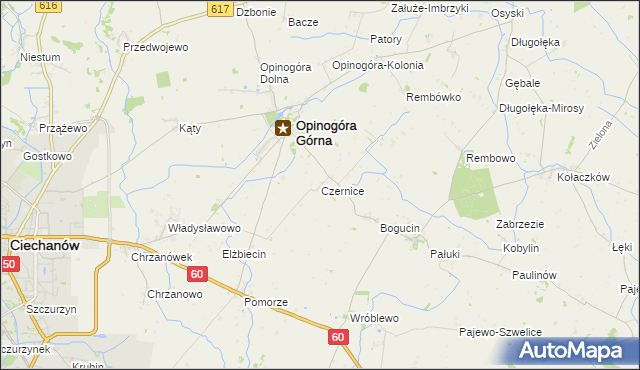 mapa Czernice gmina Opinogóra Górna, Czernice gmina Opinogóra Górna na mapie Targeo