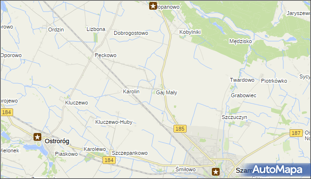 mapa Gaj Mały gmina Obrzycko, Gaj Mały gmina Obrzycko na mapie Targeo