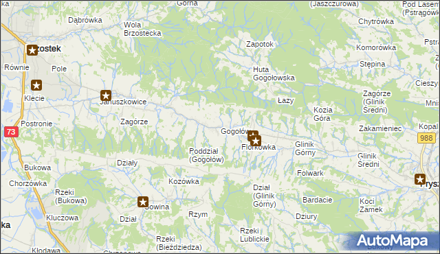 mapa Gogołów gmina Frysztak, Gogołów gmina Frysztak na mapie Targeo