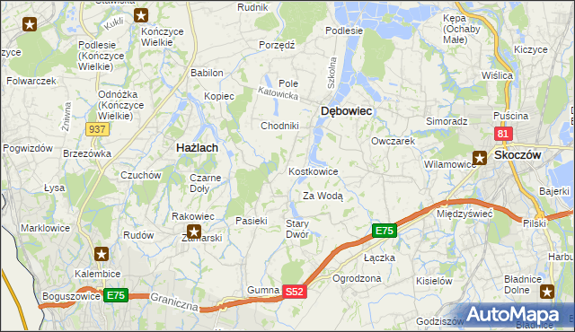 mapa Kostkowice gmina Dębowiec, Kostkowice gmina Dębowiec na mapie Targeo