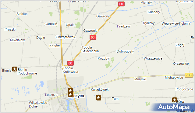mapa Kozuby gmina Łęczyca, Kozuby gmina Łęczyca na mapie Targeo