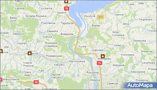 mapa Kurów gmina Chełmiec, Kurów gmina Chełmiec na mapie Targeo