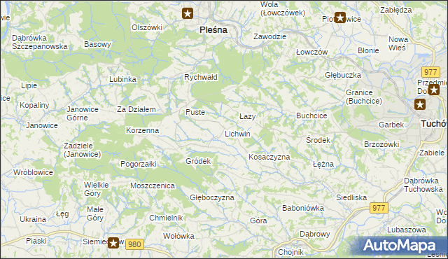 mapa Lichwin gmina Pleśna, Lichwin gmina Pleśna na mapie Targeo