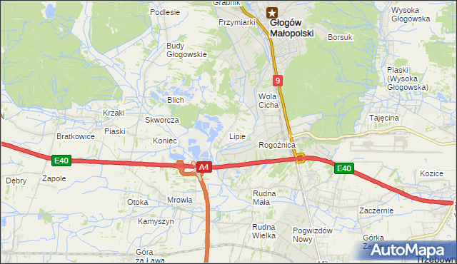 mapa Lipie gmina Głogów Małopolski, Lipie gmina Głogów Małopolski na mapie Targeo