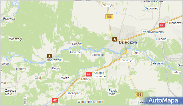 mapa Lisowice gmina Działoszyn, Lisowice gmina Działoszyn na mapie Targeo