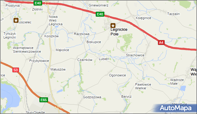 mapa Lubień gmina Legnickie Pole, Lubień gmina Legnickie Pole na mapie Targeo