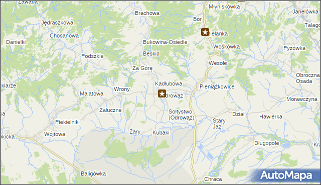 mapa Odrowąż gmina Czarny Dunajec, Odrowąż gmina Czarny Dunajec na mapie Targeo