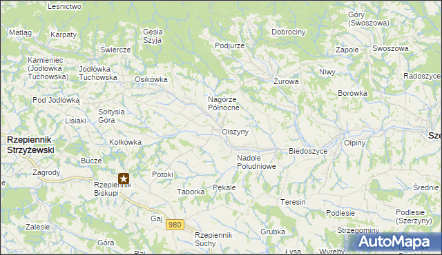 mapa Olszyny gmina Rzepiennik Strzyżewski, Olszyny gmina Rzepiennik Strzyżewski na mapie Targeo