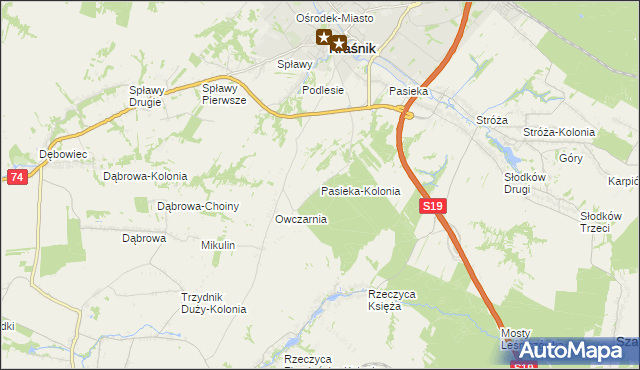 mapa Pasieka-Kolonia, Pasieka-Kolonia na mapie Targeo