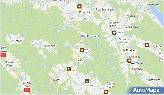 mapa Polany gmina Krynica-Zdrój, Polany gmina Krynica-Zdrój na mapie Targeo