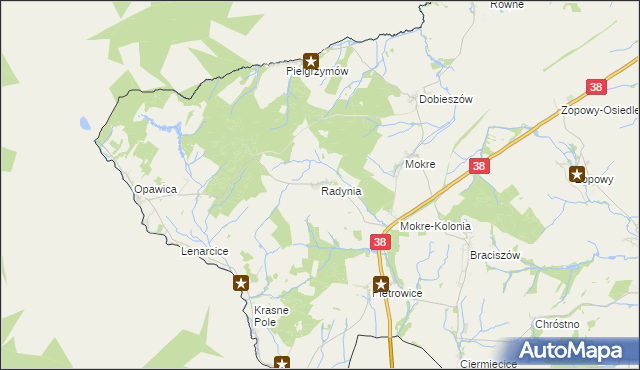 mapa Radynia, Radynia na mapie Targeo