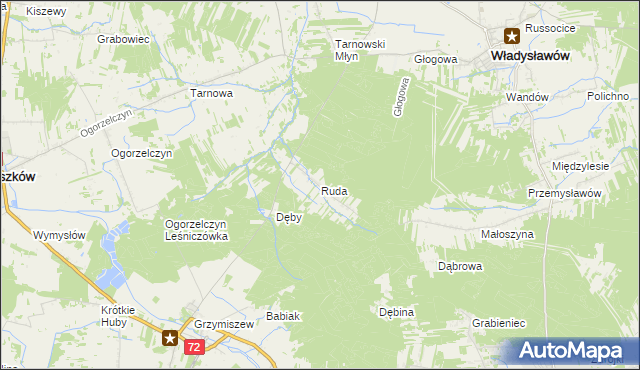 mapa Ruda gmina Tuliszków, Ruda gmina Tuliszków na mapie Targeo