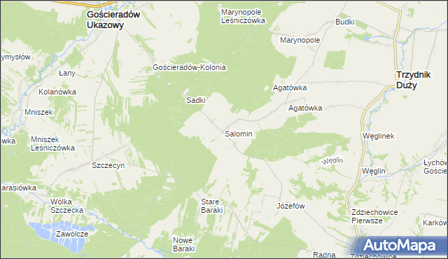 mapa Salomin, Salomin na mapie Targeo