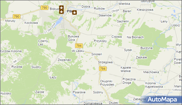 mapa Smoleń gmina Pilica, Smoleń gmina Pilica na mapie Targeo