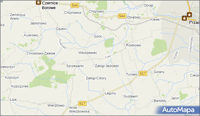 mapa Toki gmina Czernice Borowe, Toki gmina Czernice Borowe na mapie Targeo