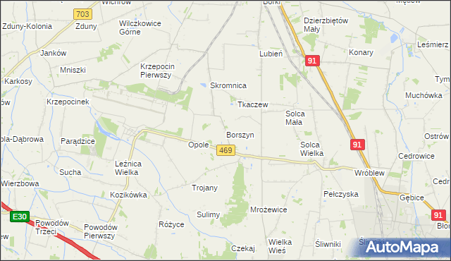 mapa Borszyn, Borszyn na mapie Targeo