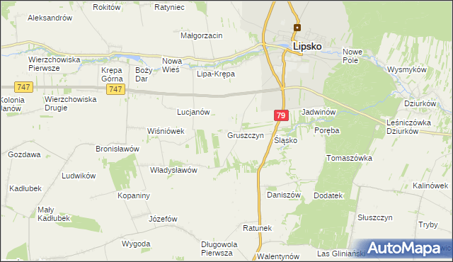 mapa Gruszczyn gmina Lipsko, Gruszczyn gmina Lipsko na mapie Targeo