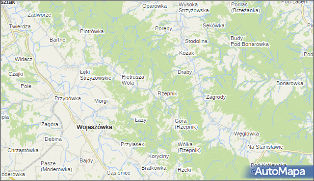 mapa Rzepnik, Rzepnik na mapie Targeo