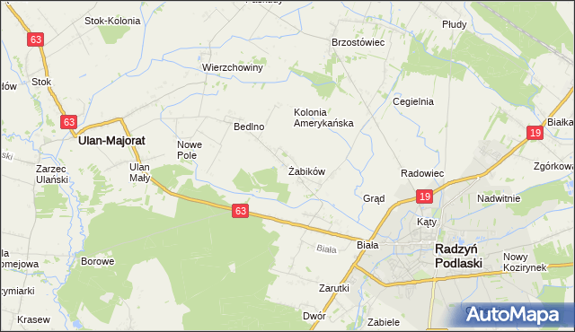 mapa Żabików gmina Radzyń Podlaski, Żabików gmina Radzyń Podlaski na mapie Targeo