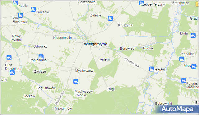 mapa Anielin gmina Wielgomłyny, Anielin gmina Wielgomłyny na mapie Targeo