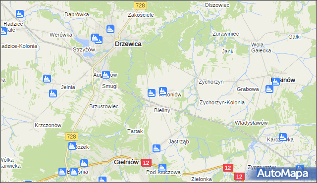 mapa Antoniów gmina Gielniów, Antoniów gmina Gielniów na mapie Targeo