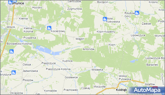 mapa Antoniów gmina Kodrąb, Antoniów gmina Kodrąb na mapie Targeo