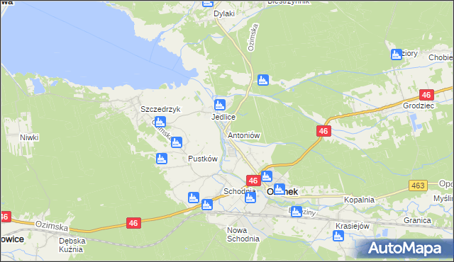 mapa Antoniów gmina Ozimek, Antoniów gmina Ozimek na mapie Targeo