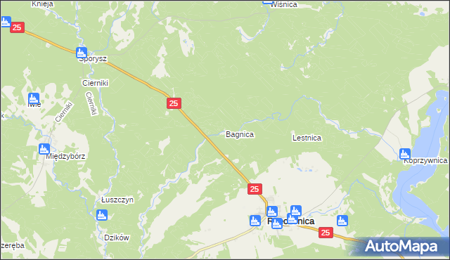 mapa Bagnica gmina Rzeczenica, Bagnica gmina Rzeczenica na mapie Targeo