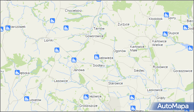 mapa Białowieża gmina Kamiennik, Białowieża gmina Kamiennik na mapie Targeo