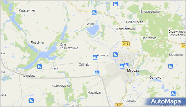 mapa Białowieża gmina Mrocza, Białowieża gmina Mrocza na mapie Targeo