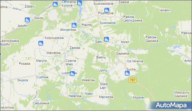 mapa Bieliny gmina Pionki, Bieliny gmina Pionki na mapie Targeo