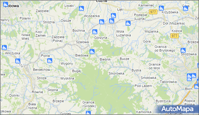 mapa Bieśnik gmina Łużna, Bieśnik gmina Łużna na mapie Targeo