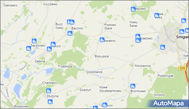 mapa Biskupice gmina Przemęt, Biskupice gmina Przemęt na mapie Targeo