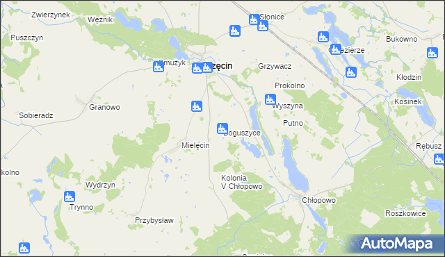 mapa Boguszyce gmina Krzęcin, Boguszyce gmina Krzęcin na mapie Targeo